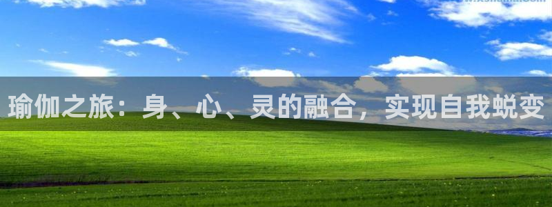 欧洲杯买球网