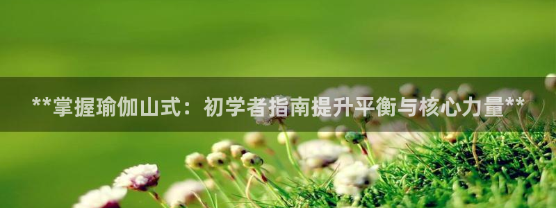 欧洲杯投注推荐网站