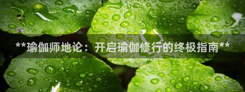 欧洲杯彩票哪里买