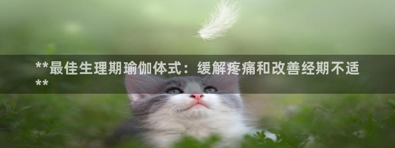 欧洲杯下单网址