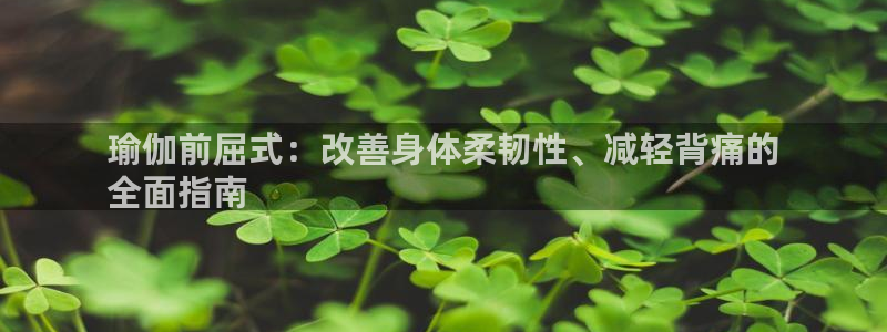 买欧洲杯的竞猜在那个app