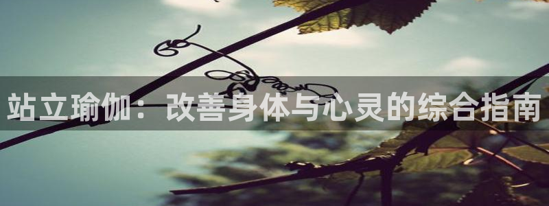欧洲杯买球手机app