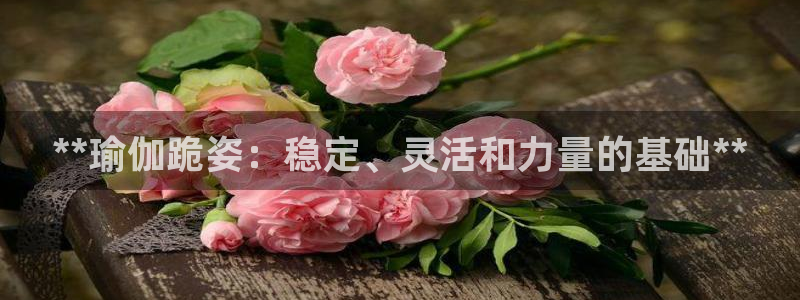 欧洲杯下赌注平台