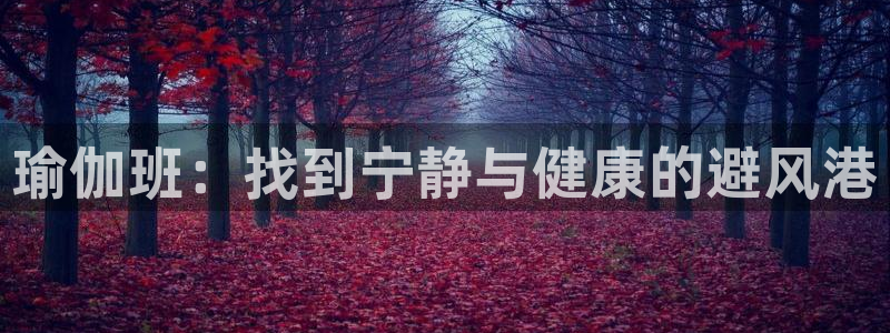 2024欧洲杯押注官网