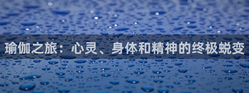 欧洲杯靠谱买球平台