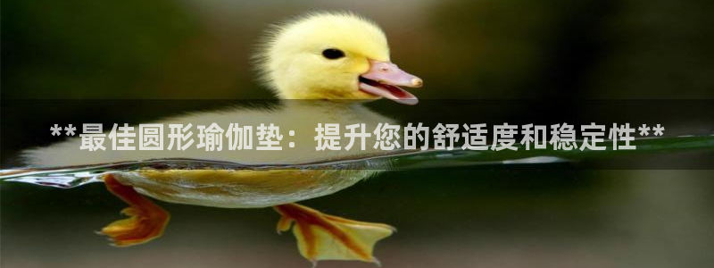 欧洲杯指定投注网站