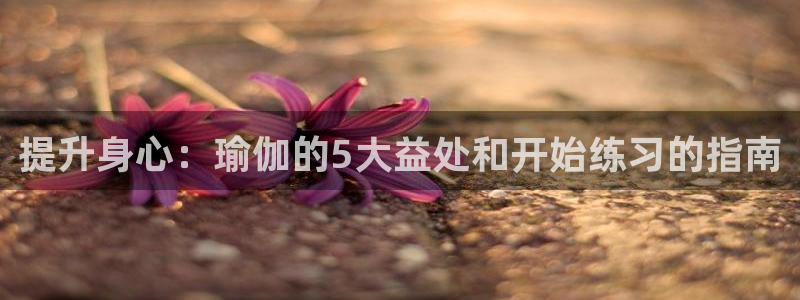 2024年欧洲杯投注