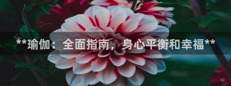 欧洲杯投注官方网站