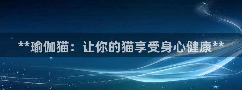 欧洲杯可以买冠亚军吗