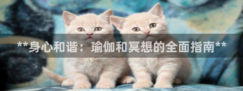 欧洲杯买球手机app