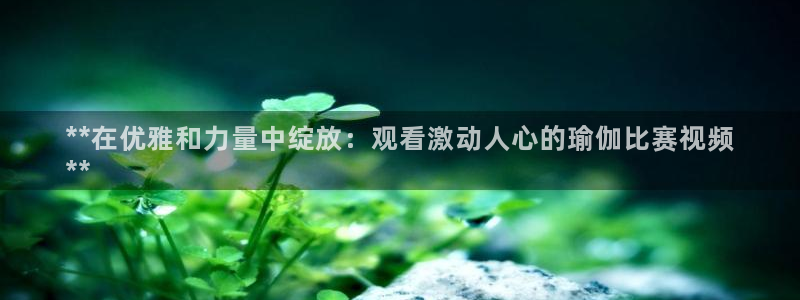 欧洲杯下单平台官网网址
