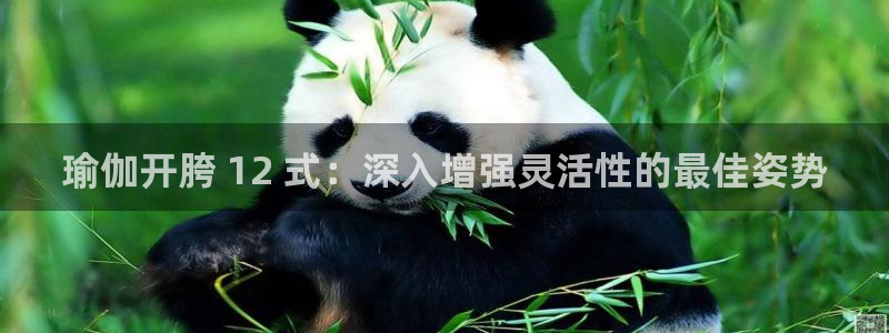 欧洲杯指定投注网站
