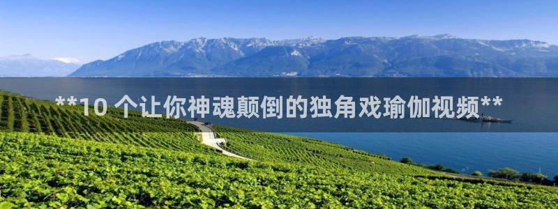 欧洲杯下单网址