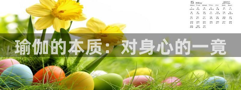 2024欧洲杯押注官网