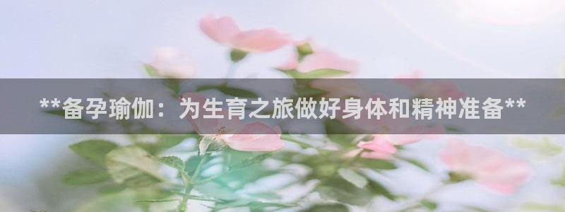 2024正规欧洲杯平台