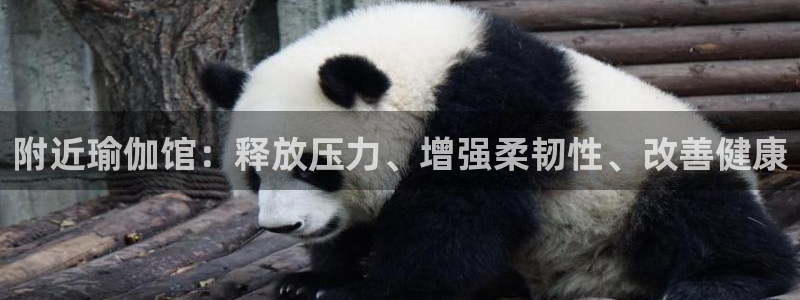 欧洲杯买球网