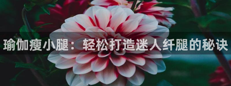 欧洲杯买足球软件有哪些