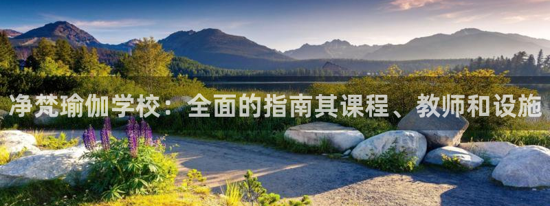 欧洲杯下单网址