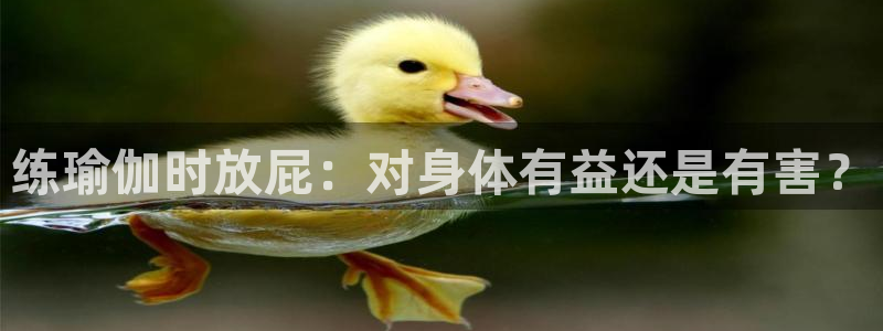 2024欧洲杯买球推荐