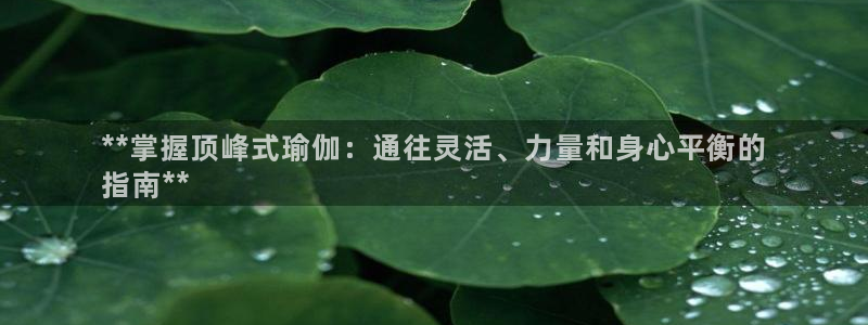 欧洲杯下单平台官网网址