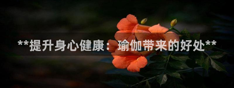欧洲杯买球手机app