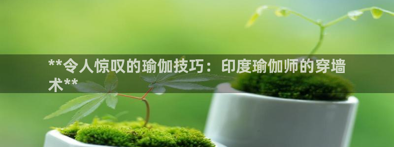2024欧洲杯竞猜网址
