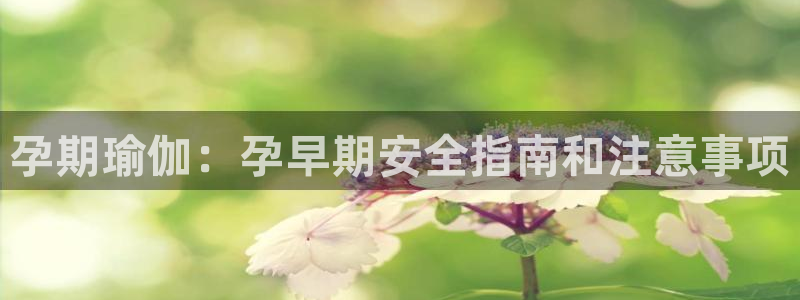买球平台官方网站